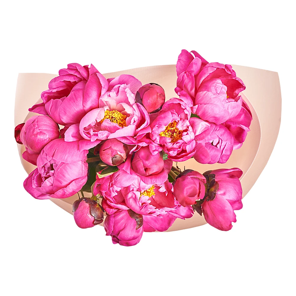 Букет 15 Малиновых Пионов