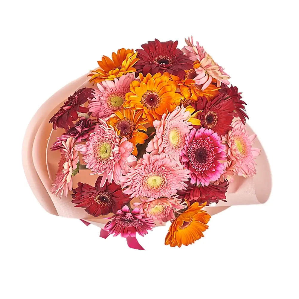 Букет из 25 гербер яркий микс